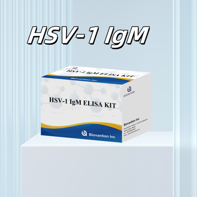 Biovantion Specificity HSV-1 IgM Elisa Serum / Plasma Test Kit With 2-8\u00b0C Storage Temperature