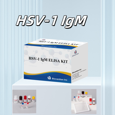Biovantion Specificity HSV-1 IgM Elisa Serum / Plasma Test Kit With 2-8\u00b0C Storage Temperature