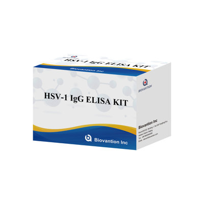 Biovantion Sensitivity HSV-1 IgG ELISA Test Kit