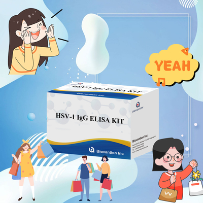 Biovantion Sensitivity HSV-1 IgG ELISA Test Kit