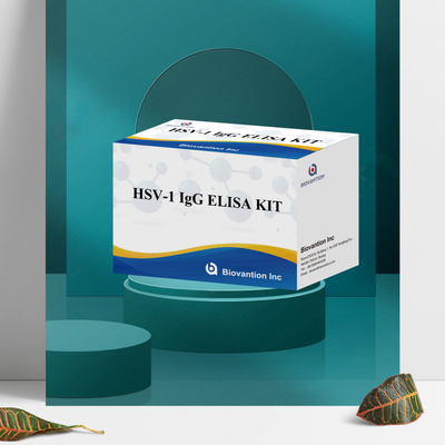 Biovantion Sensitivity HSV-1 IgG ELISA Test Kit