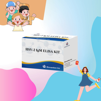 Accurate HSV-2 IgM Elisa Kits For Animal Test Elisa Animal Caretaker