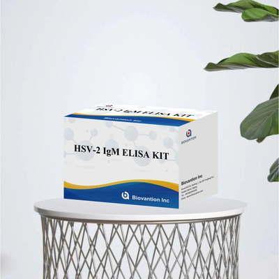 Accurate HSV-2 IgM Elisa Kits For Animal Test Elisa Animal Caretaker