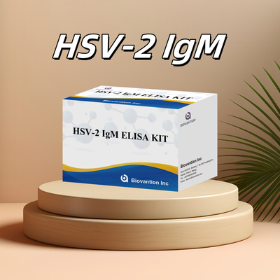 Accurate HSV-2 IgM Elisa Kits For Animal Test Elisa Animal Caretaker