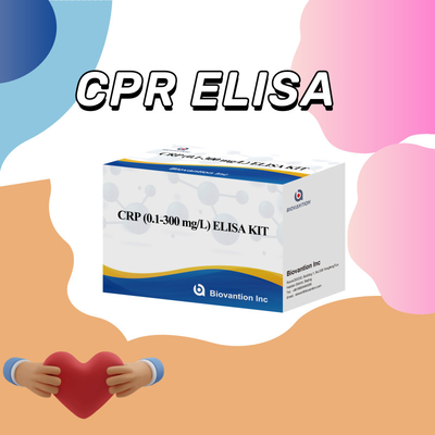 Biovantion Sensitivity  CRP Elisa Test Kit Stable At 2-8.C Specific For Accurate Results