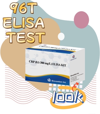 Biovantion Sensitivity  CRP Elisa Test Kit Stable At 2-8.C Specific For Accurate Results