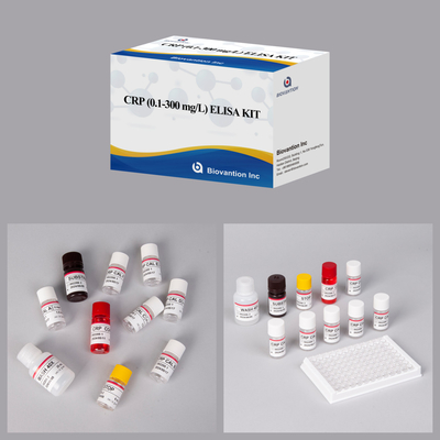 Biovantion Sensitivity  CRP Elisa Test Kit Stable At 2-8.C Specific For Accurate Results