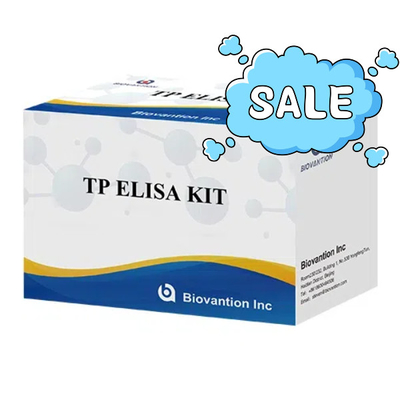TP （ Treponema Pallidum ）Ab ELISA Test Kit Syphilis SYP Enzyme-Linked Immunosorbent