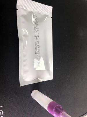 Salmonella IgG/IgM Rapid Test Cassette S.Typhoid Easy-To-Use Diagnostic Test Kit