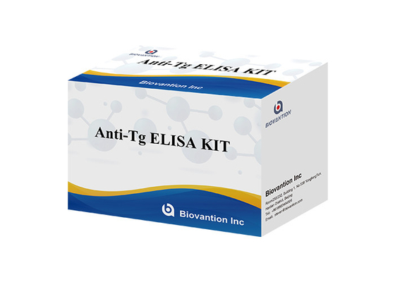 Anti-Tg ELISA Test Kit Thyroglobulin Ab  In Vitro Quantitative Determination
