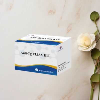 Anti-Tg ELISA Test Kit Thyroglobulin Ab  In Vitro Quantitative Determination