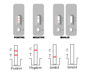High Accuracy GAS Groud A Stretococcal Antigen Rapid Test Kit 50 Tests Rapid Reading