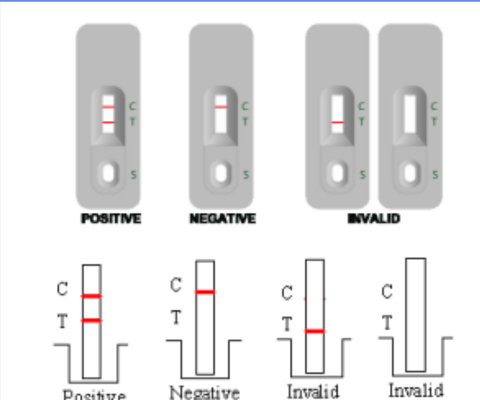 High Accuracy GAS Groud A Stretococcal Antigen Rapid Test Kit 50 Tests Rapid Reading