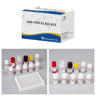 Diagnostic Kit For HumanAnti-TPO For Hospital And Lab With 96 Test