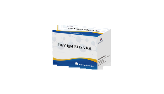 Laboratory Or Hospital Antibody IgG To Hepatitis E Virus HEV Elisa Test Kit