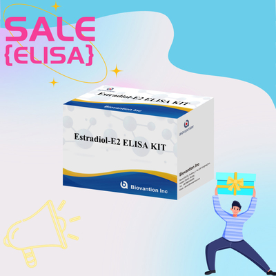 factory price E2 ELISA Test Kit In Vitro Detection Medical Detection High Precision