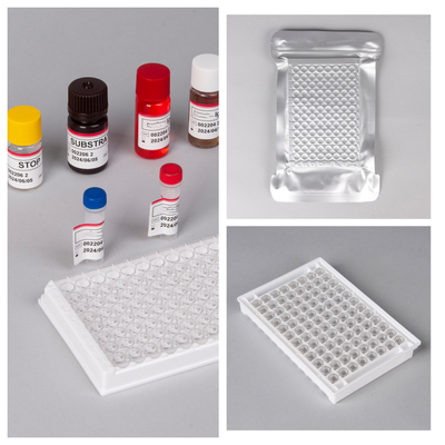 IVD Reagent HIV Ab Ag Elisa Test Kits High Sensitivity / Specificity