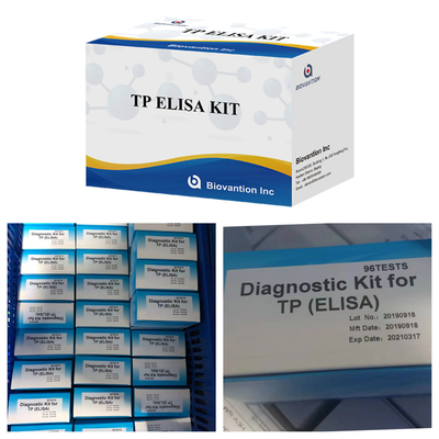 Hot Sale ELISA Test Syphilis Antibody Enzyme-Linked Immunoassay Elisa Test Kit