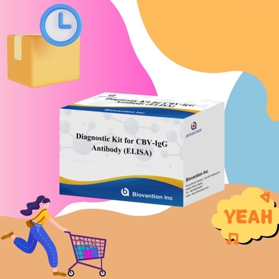 Highly Specific CBV-IgG Antibody human detect Elisa Kits for Accurate Detection of Target Analytes