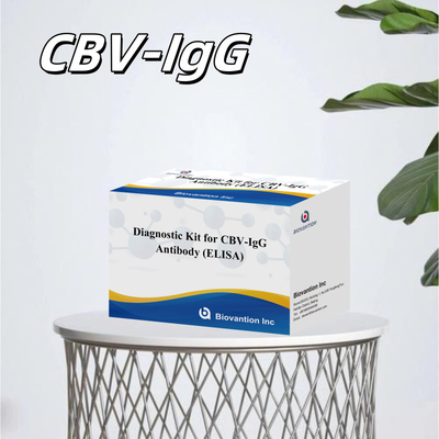Highly Specific CBV-IgG Antibody human detect Elisa Kits for Accurate Detection of Target Analytes