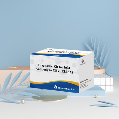CBV igm ELISA KIT D diagnostic reagent 18 Months Shelf Life Enzyme-Linked Immunosorbent Assay Test