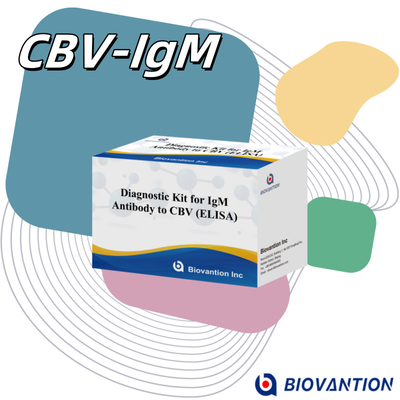 CBV igm ELISA KIT D diagnostic reagent 18 Months Shelf Life Enzyme-Linked Immunosorbent Assay Test