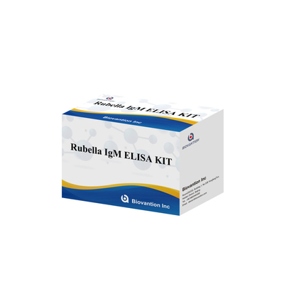 Elisa Test Kit For Rubella IgM Detection Tool For Rubella IgG Antibodies In Human Use
