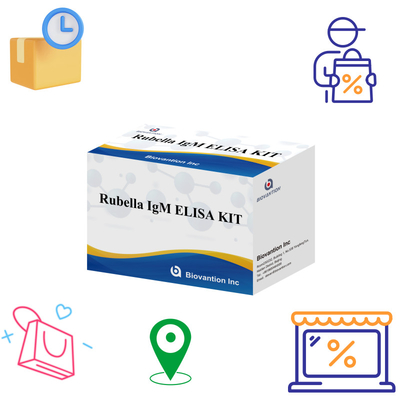 Elisa Test Kit For Rubella IgM Detection Tool For Rubella IgG Antibodies In Human Use