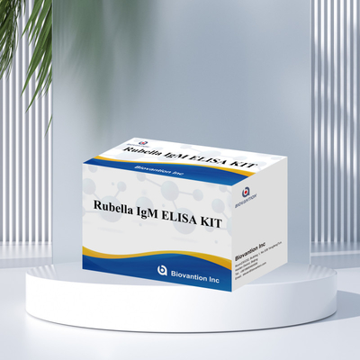 Elisa Test Kit For Rubella IgM Detection Tool For Rubella IgG Antibodies In Human Use