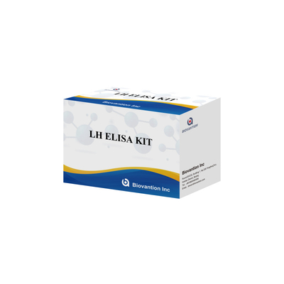Biovantion LH ELISA Test Kit for diagnosis Human Luteinizing Hormone LH (Quantitative) hormones detect