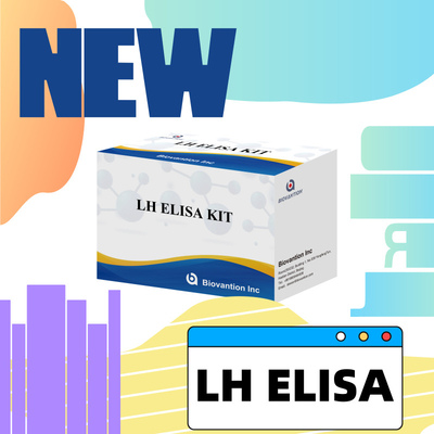 Biovantion LH ELISA Test Kit for diagnosis Human Luteinizing Hormone LH (Quantitative) hormones detect