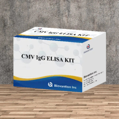 Laboratory Or Hospital High Accuracy CMV IgG Elisa Test Kit