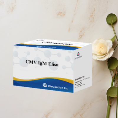 CMV IgM ELISA Kit High Accuracy Pregnant Women Preventive Test