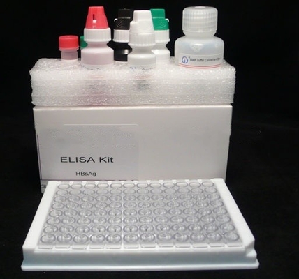 Highly Sensitive HBsAg Diagnosis Elisa Test Kit for Precise Detection in Diagnosis