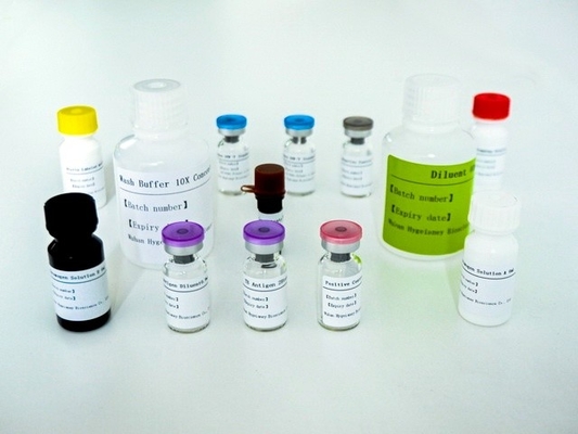 High Performance Elisa Test Kit for Accurate Detection and Quantification of Analytes TB IGRA