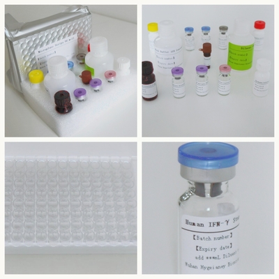 High Performance Elisa Test Kit for Accurate Detection and Quantification of Analytes TB IGRA