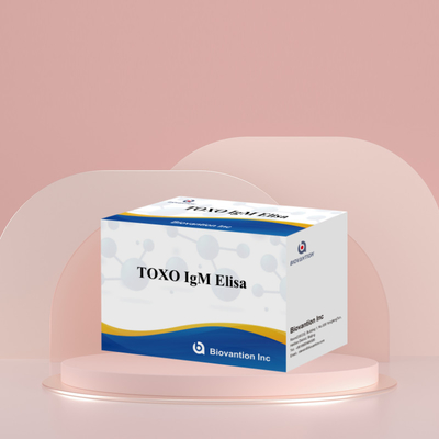 TOXO IgM Elisa Kit For Human Use Diagnostic Reagent Test Kit With 96 Kit