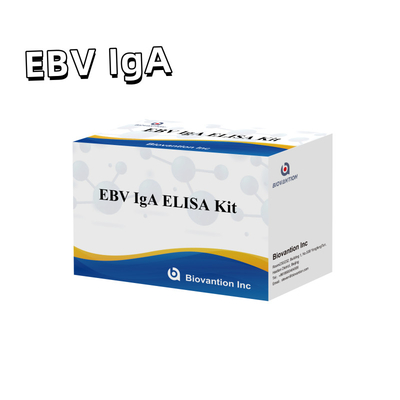 EBV HUMAN ELISA Test Kit 2-8℃ Sensitivity Diagnostic Kit For IgA  Antibody To EBV-EA