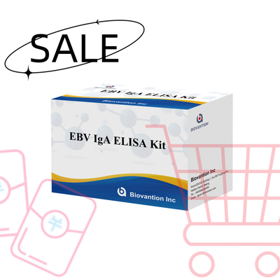 EBV HUMAN ELISA Test Kit 2-8℃ Sensitivity Diagnostic Kit For IgA  Antibody To EBV-EA