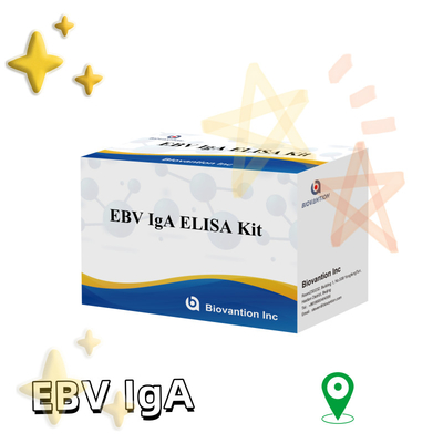 EBV HUMAN ELISA Test Kit 2-8℃ Sensitivity Diagnostic Kit For IgA  Antibody To EBV-EA