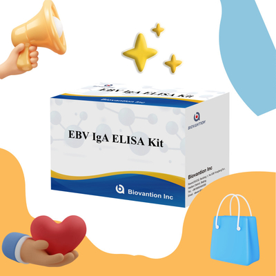 EBV HUMAN ELISA Test Kit 2-8℃ Sensitivity Diagnostic Kit For IgA  Antibody To EBV-EA