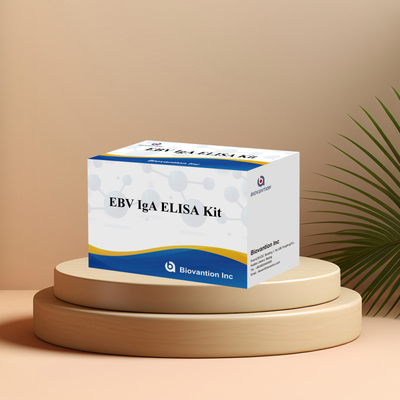EBV HUMAN ELISA Test Kit 2-8℃ Sensitivity Diagnostic Kit For IgA  Antibody To EBV-EA