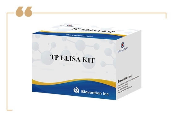 TP Syphilis Antibody Enzyme Linked Immunoassay Elisa Test Kit