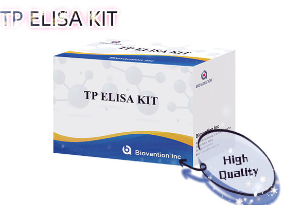 TP Syphilis Antibody Enzyme Linked Immunoassay Elisa Test Kit