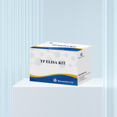 TP Syphilis Antibody Enzyme Linked Immunoassay Elisa Test Kit