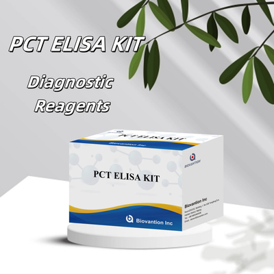 High Accuracy PCT For Human Detect Reagent ELISA Method With 96 Test For Hospital
