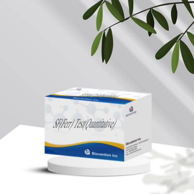 IVD Reagent SF Ferr ELISA Test Kit Veterinary Instrument For Quantitative Detection Of Serum Ferritin Diagnosis