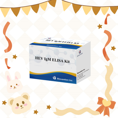Accurate And Sensitive HEV-IgM Elisa Test Kit For Precise Detection And Analysis