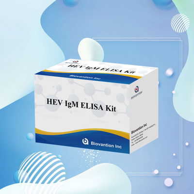 Accurate And Sensitive HEV-IgM Elisa Test Kit For Precise Detection And Analysis