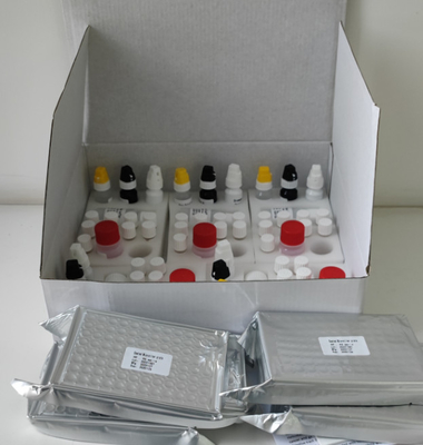 Laboratory Or Hospital High Accuracy H.Pylori IgG  Elisa Test Kit